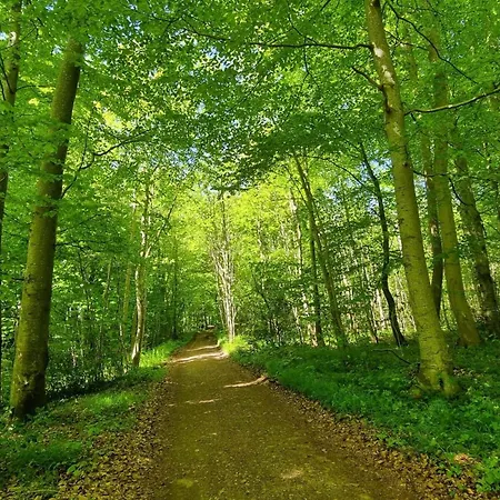 Vakantiehuis Schleiruhe